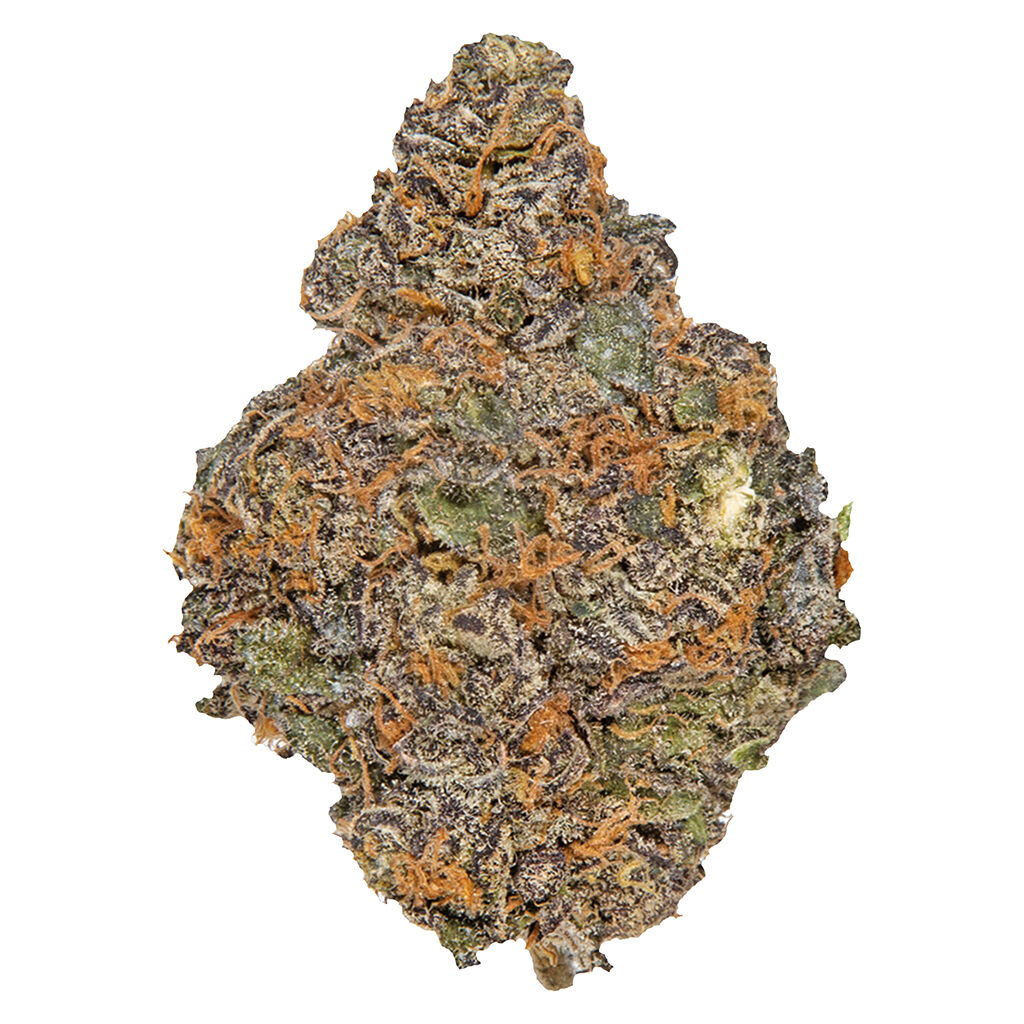 Potluck - Beaver Tail - Beaver Tail 7g Dried Flower